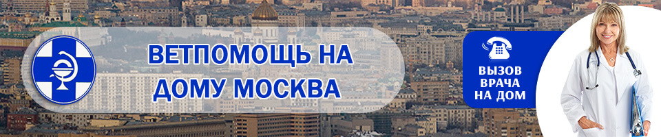 Ветпомощь на дому Москва