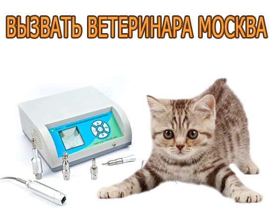 Вызвать ветеринара Москва