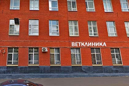 ветклиника цао
