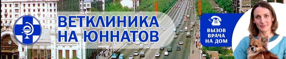 ветеринарная Юннатов ветеринарная Юннатов